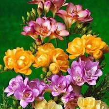 Схема вышивки «букет»