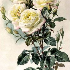 Схема вышивки «ЛОНГПРЕ1»