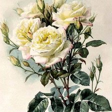 Схема вышивки «ЛОНГПРЕ2»