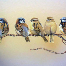 Схема вышивки «Воробышки»