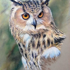 Схема вышивки «№2108628»