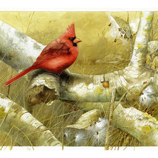 Схема вышивки «птицы.»