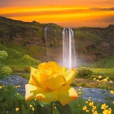 Схема вышивки «ūdenskritums ar rozi»