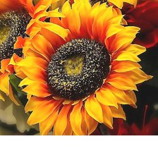 Схема вышивки «№2109107»