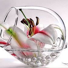 Схема вышивки «Бокал с лилией»