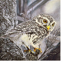 Схема вышивки «Серия "Птицы". Сова»