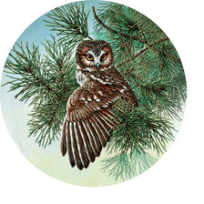 Схема вышивки «Серия "Птицы". Совы»