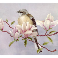 Схема вышивки «Птица.»