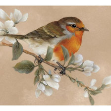 Схема вышивки «Птица.»