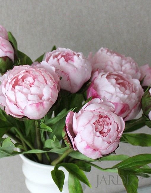 пионы в вазе - нежно розовые, пионы, бутоны - оригинал