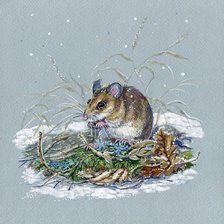 Художник Tiwel_owl