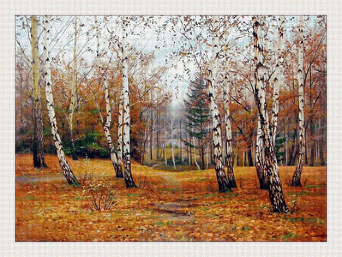 №2110063 - природа, пейзаж, осень, березы - предпросмотр