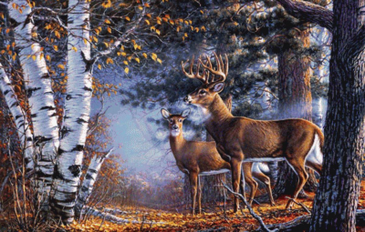 №2110067 - лес, березы, животные, олени - предпросмотр