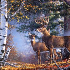 Схема вышивки «№2110067»