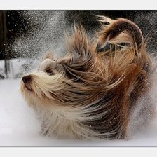 Схема вышивки «№2110079»