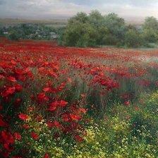 Схема вышивки «№2110112»