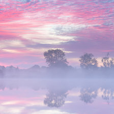 Схема вышивки «№2110113»