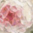 Предпросмотр схемы вышивки «Чайные розы» (№2110122)
