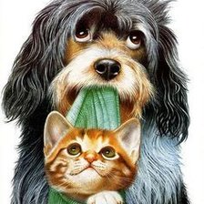 Щенок с котенком