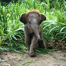 Схема вышивки «Привет! Я родился!»