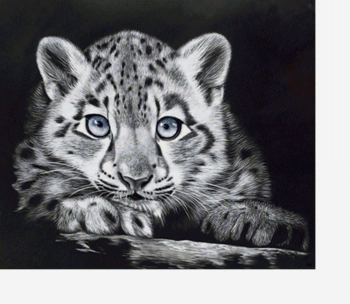 №2110599 - хищники, животные - предпросмотр