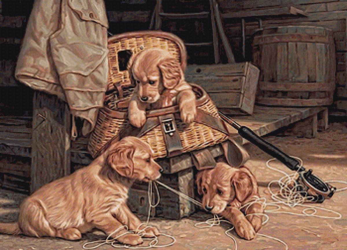 №2110624 - щенок, животные, собачка - предпросмотр