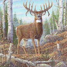 Схема вышивки «№2110630»