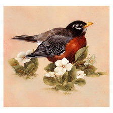 Схема вышивки «Птица.»