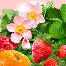 Схема вышивки «№2110868»