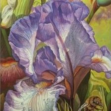 Схема вышивки «ТРИПТИХ ИРИСЫ-ЦЕНТР»