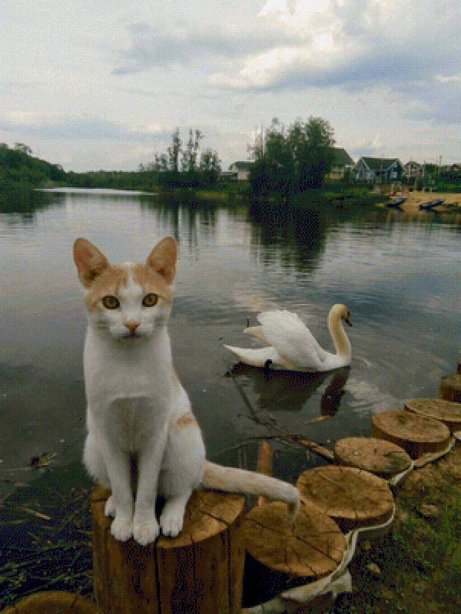 кот - предпросмотр