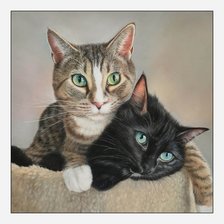 Схема вышивки «№2111276»