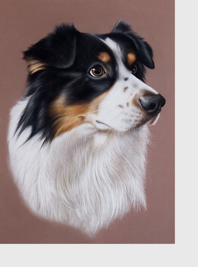 №2111313 - собаки, животные - оригинал