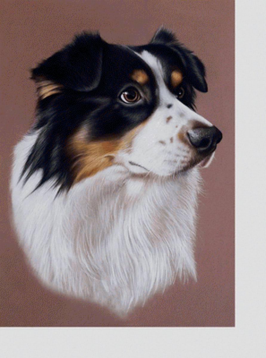 №2111313 - животные, собаки - предпросмотр