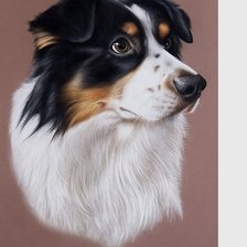 Схема вышивки «№2111313»