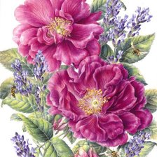 Схема вышивки «цветы»