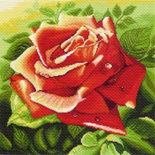 Схема вышивки «роза»