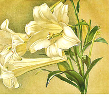 Схема вышивки «Серия "Лилии"»