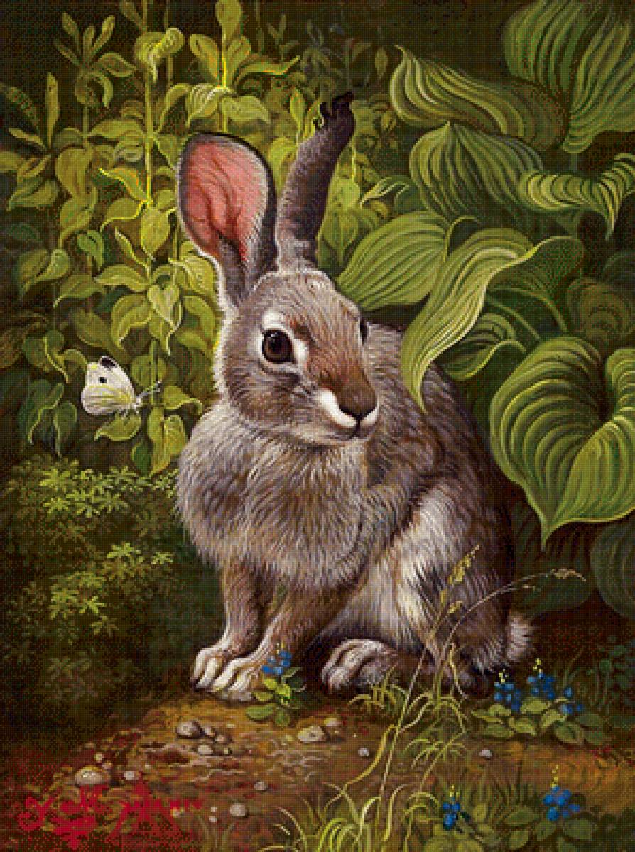 заяц - предпросмотр