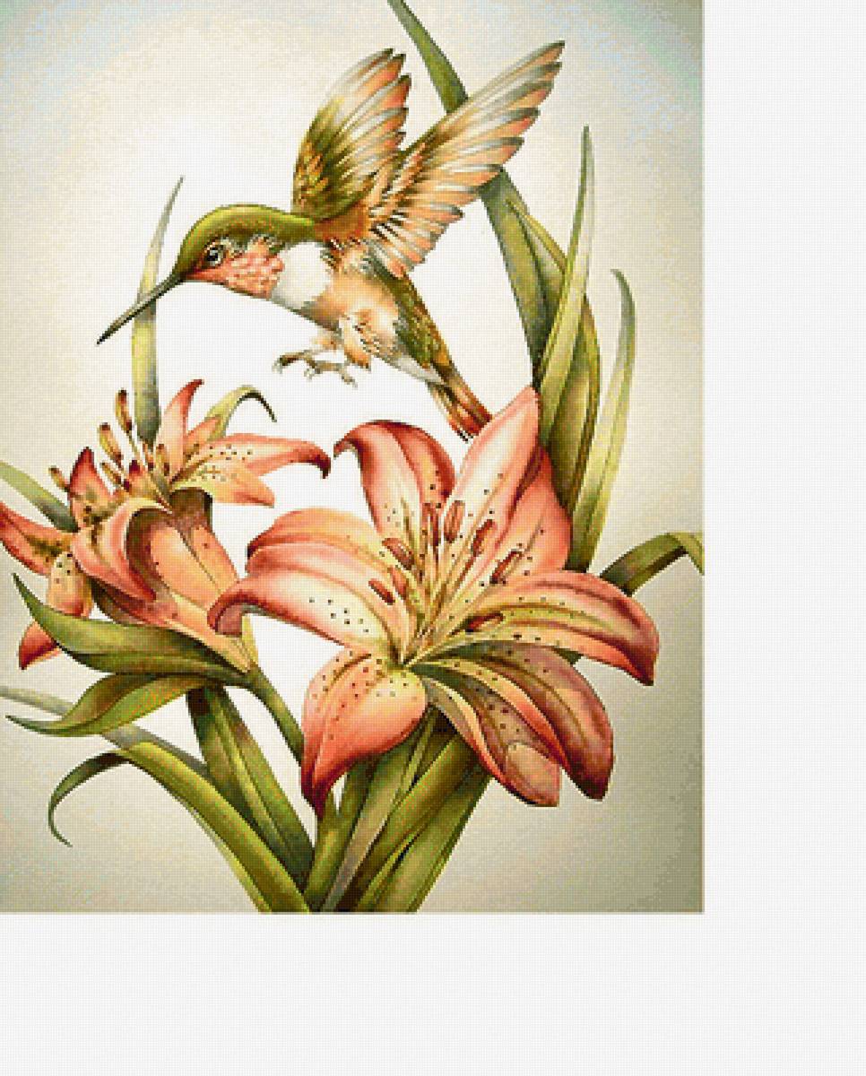 Серия "Лилии" - букет, птичка, флора, цветы, колибри, лилии - предпросмотр