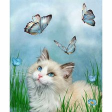 Схема вышивки «кот с голубыми глазами»