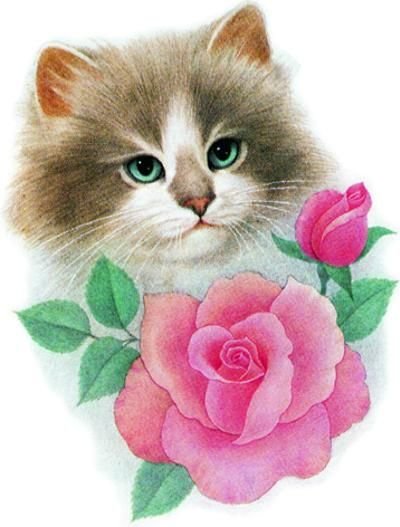 киса с розочкой - коты - оригинал