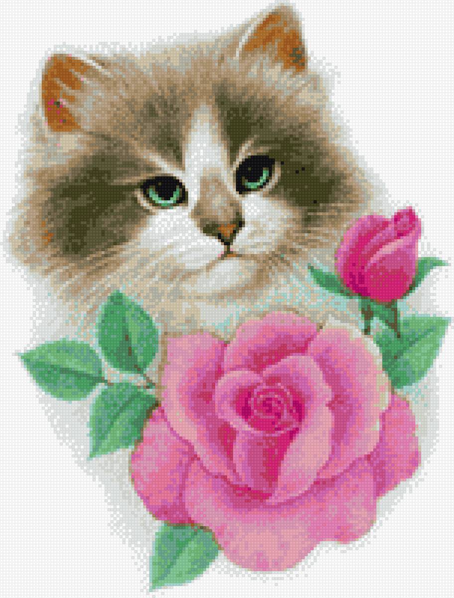 киса с розочкой - коты - предпросмотр
