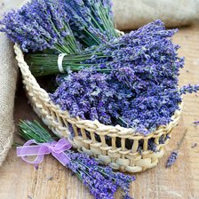 Схема вышивки «лаванда»