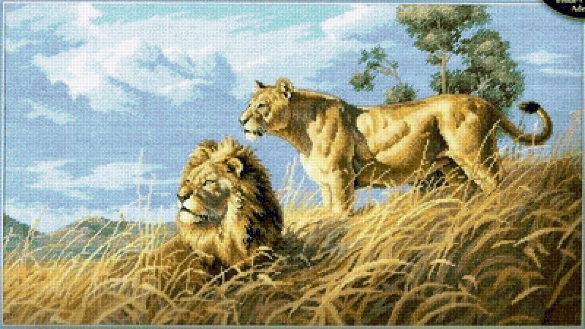 llwy - предпросмотр