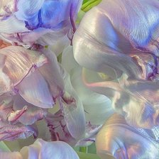 Схема вышивки «перламутровые лепестки»