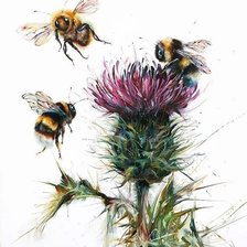 Схема вышивки «Шмели на чертополохе»