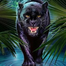 Схема вышивки «пантера»