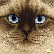 Схема вышивки «сиам»