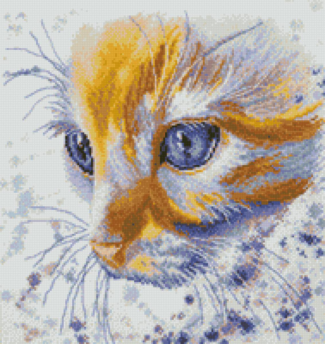 голубоглазка - кошка - предпросмотр